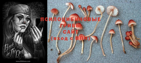 MDMA Premium VHQ Абинск