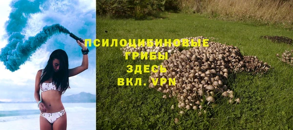 дурь Алзамай