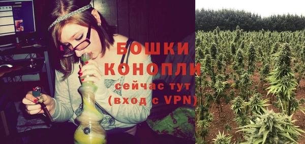 PSILOCYBIN Абаза