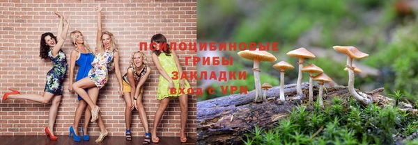 дурь Алзамай