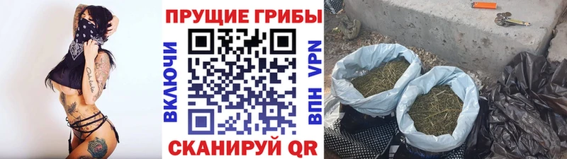 Галлюциногенные грибы Magic Shrooms  где найти   Карачев 